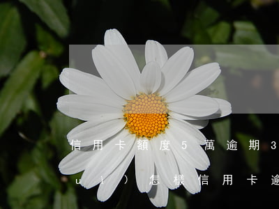 信用卡額度5萬逾期3個(gè)月會(huì)怎樣，信用卡逾期3個(gè)月，額度5萬將面臨什么后果？